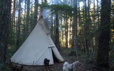 New Years Solo Camp with Dogs