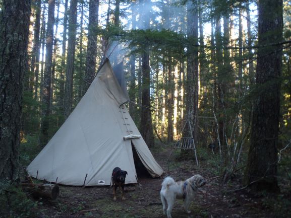 New Years Solo Camp with Dogs