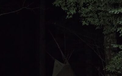 Plan B Camp March 2025