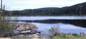 South Prairie Lake