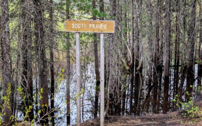 In Search of Disappearing Lake