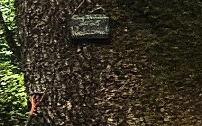 Camp Tittihahaha 2025 Day 1