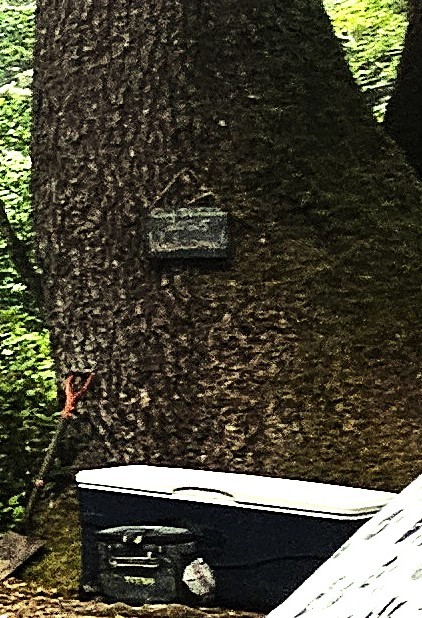 Camp Tittihahaha 2025 Day 1