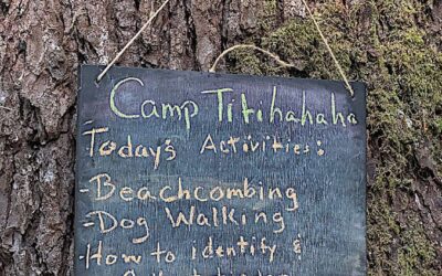 Camp Tittihahaha 2025 Day 2