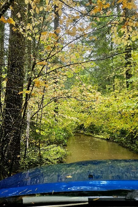 A Wet Day With the Grub