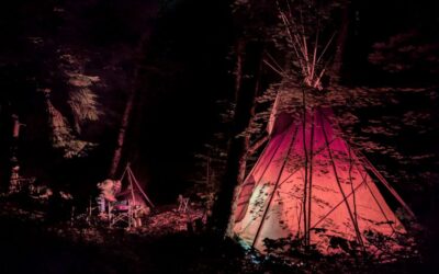 The Cabbage Creek Militia