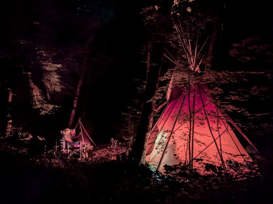 The Cabbage Creek Militia