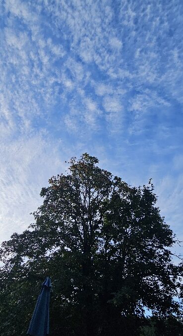 Good Morning