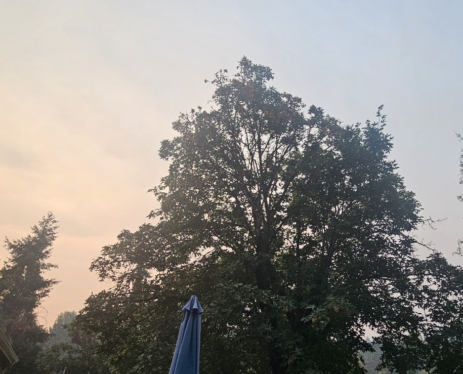 20260805_064721