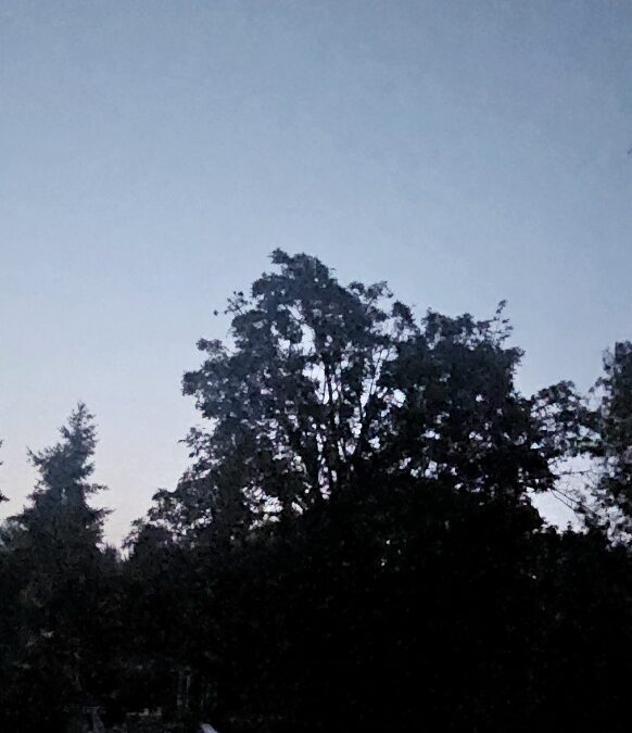 Good Morning