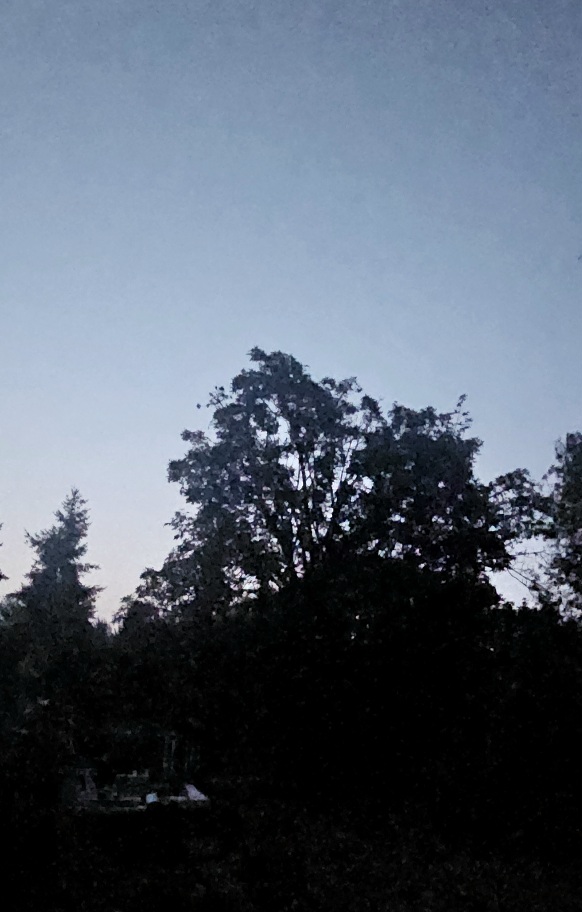 20260814_053236