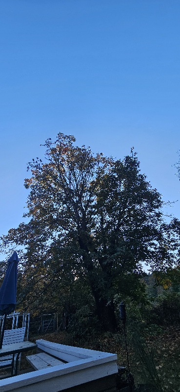 20261015_082119